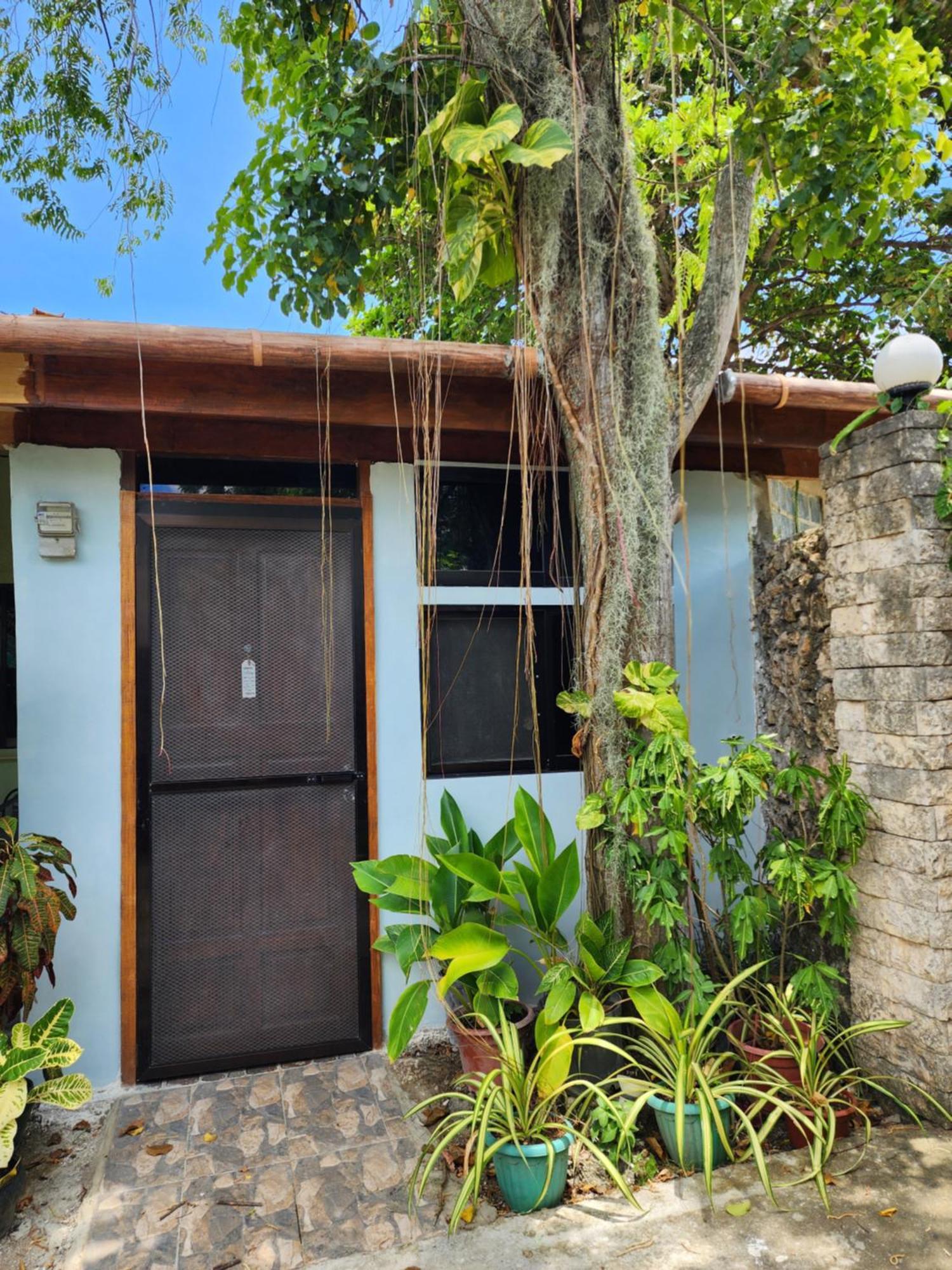Mj'S Residences Garden Hotel Moalboal Exterior photo
