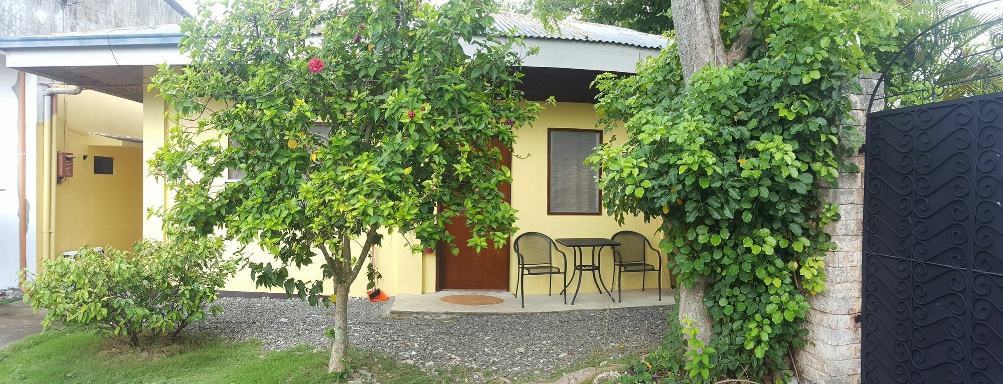 Mj'S Residences Garden Hotel Moalboal Exterior photo